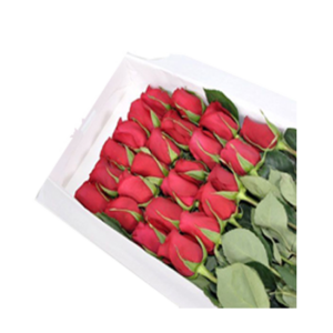 Caja de 24 rosas