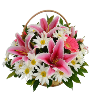 Canasto de Lilium, Gerberas y Margaritas