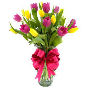 Florero de 20 tulipanes