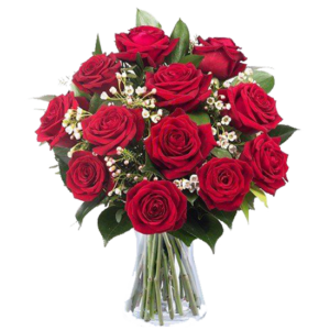 Florero de 24 rosas y gypsu