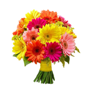 Ramo de 20 Gerberas Multicolor