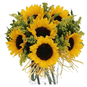 Cubo con 10 girasoles
