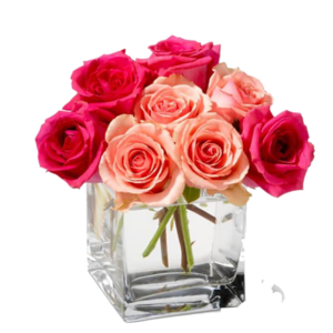 Cubo con 18 rosas