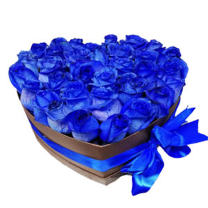 Caja con 12 rosas azules