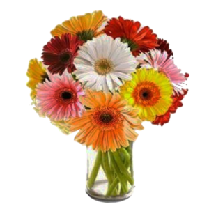 Florero con 10 gerberas
