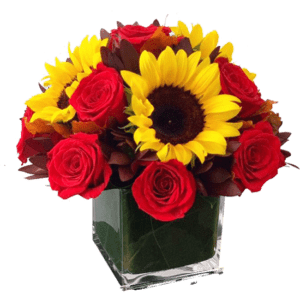Cubo de 10 rosas y 5 girasoles