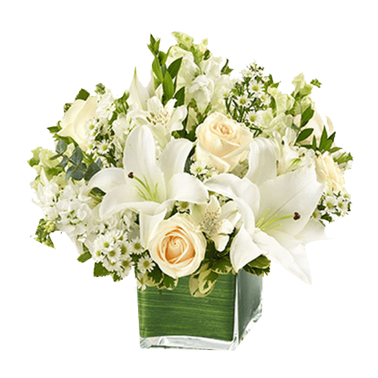 Cubo de 8 rosas, lilium y astromelias Cubo de 8 rosas, lilium y astromelias