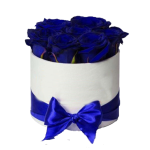 Caja cilindrica con 9 rosas azules
