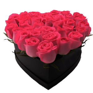 Caja corazón con 25 rosas fucsia