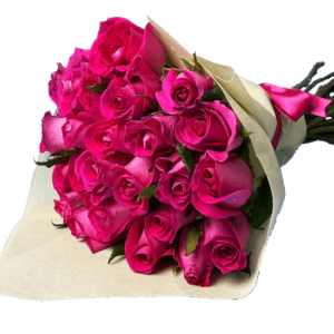 Ramo con 24 rosas fucsia