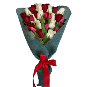 Ramo con 24 Rosas Rojo blanco y 10 tulipanes