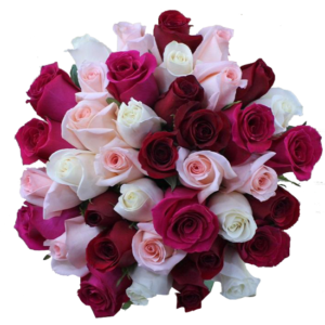 Ramo con 24 rosas rojo blanco rosado y fucsia