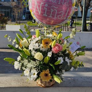 Canasto de nacimiento