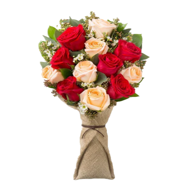 Ramo con 12 rosas rosado rojo Ramo con 12 rosas